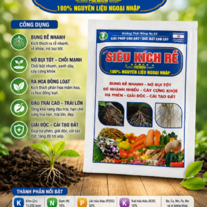Siêu kích rễ phù hợp cho cây lúa