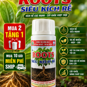 ROOTS – SIÊU KÍCH RỄ