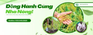 Đại Lý Phân Bón Miền Trung – Hợp Tác Cùng Thịnh Vượng Toàn Cầu