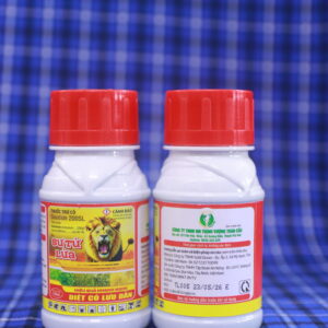 IMG 5570 - Thịnh Vượng Toàn Cầu IMG 5570 - Thịnh Vượng Toàn Cầu