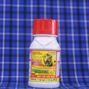 IMG 5574 - Thịnh Vượng Toàn Cầu IMG 5574 - Thịnh Vượng Toàn Cầu