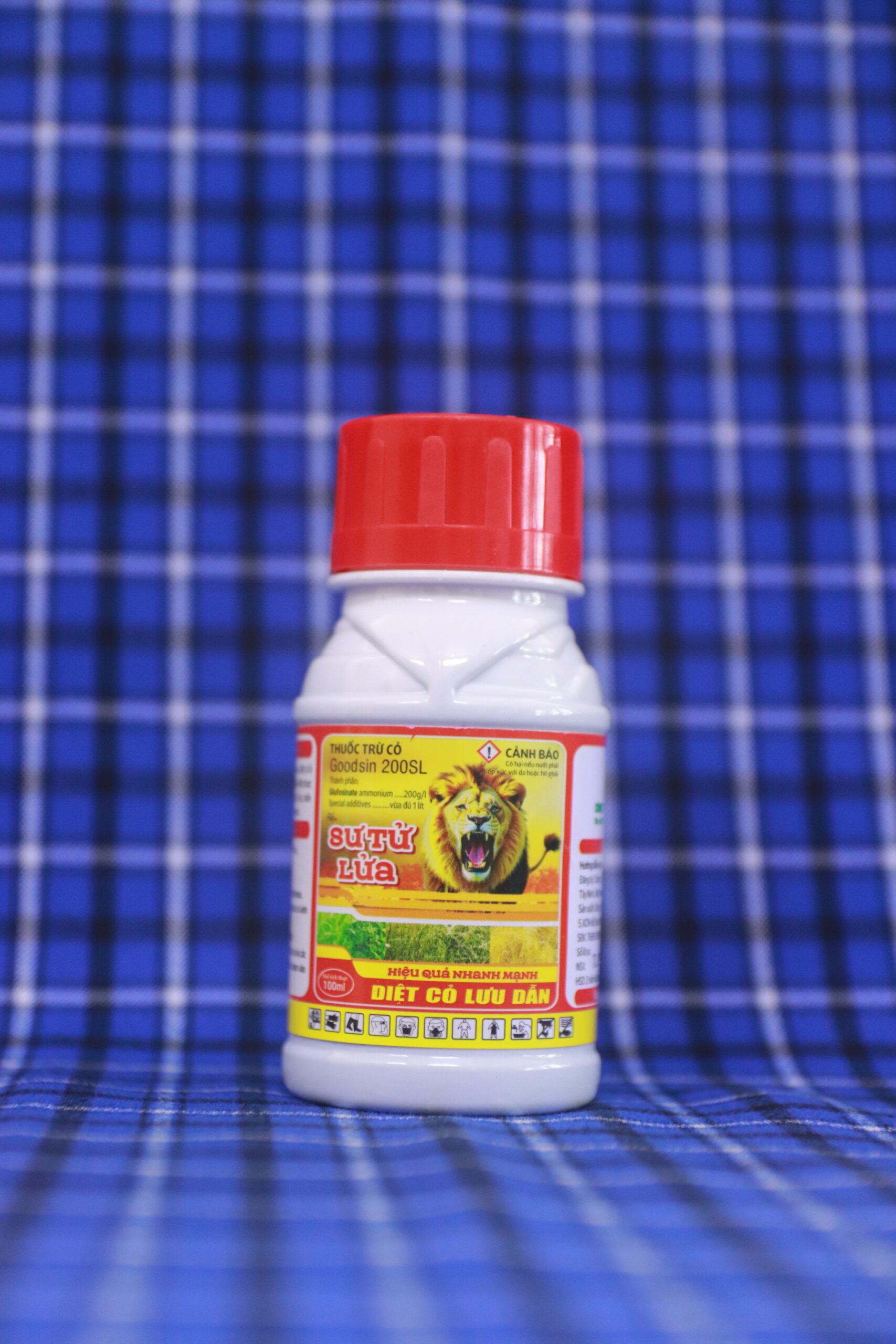 IMG 5574 - Thịnh Vượng Toàn Cầu IMG 5574 - Thịnh Vượng Toàn Cầu