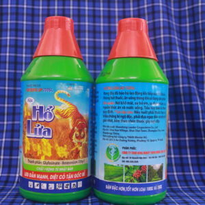 IMG 5591 - Thịnh Vượng Toàn Cầu IMG 5591 - Thịnh Vượng Toàn Cầu