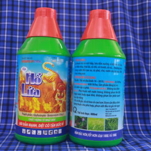 IMG 5593 - Thịnh Vượng Toàn Cầu IMG 5593 - Thịnh Vượng Toàn Cầu