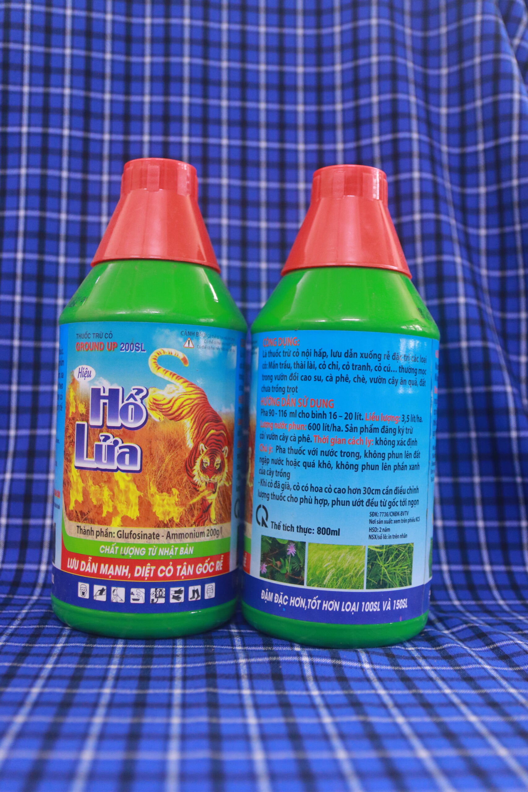 IMG 5593 - Thịnh Vượng Toàn Cầu IMG 5593 - Thịnh Vượng Toàn Cầu