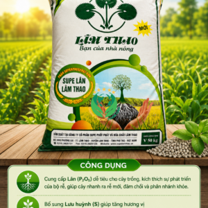 Phân Superphosphat đơn - Super lân Lâm Thao