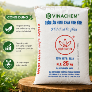 Phân lân nung chảy Ninh Bình