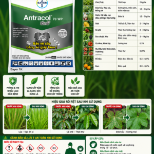 Thuốc trừ bệnh quang phổ rộng Antracol® 70 WP (Antracol 70WP Zinc++)