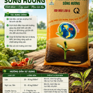 Phân hữu cơ sinh học Sông Hương (Dạng hạt)