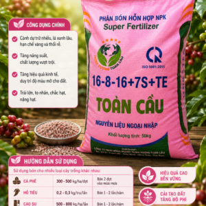 NPK 16-8-16+7S+TE Toàn Cầu