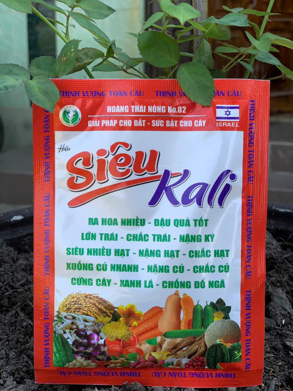 Siêu Kali- Dưỡng quả - Ảnh 2