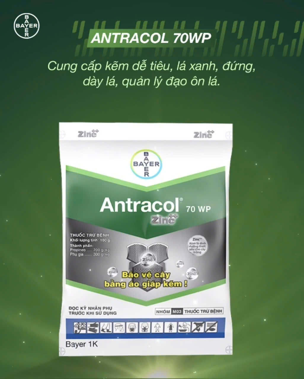 Thuốc trừ bệnh quang phổ rộng Antracol® 70 WP (Antracol 70WP Zinc++) - Ảnh 2