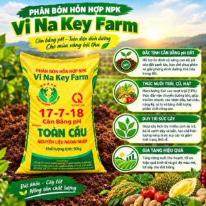 251f5c9d df94 46cf b6ed fbe62b02d6b4 - Thịnh Vượng Toàn Cầu 251f5c9d df94 46cf b6ed fbe62b02d6b4 - Thịnh Vượng Toàn Cầu