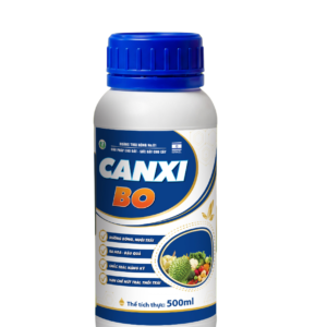 500 - Thịnh Vượng Toàn Cầu