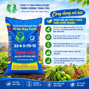 Thiết kế chưa có tên (13) - Thịnh Vượng Toàn Cầu Thiết kế chưa có tên (13) - Thịnh Vượng Toàn Cầu