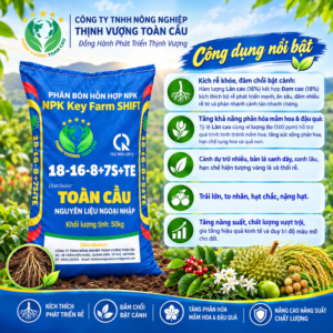 Thiết kế chưa có tên - Thịnh Vượng Toàn Cầu Thiết kế chưa có tên - Thịnh Vượng Toàn Cầu